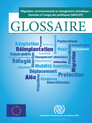 Migration, environnement et changement climatique: Données à l'usage des politiques (MECLEP) - Glossaire
